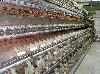  ZINSER Draw Winder, Model 547,